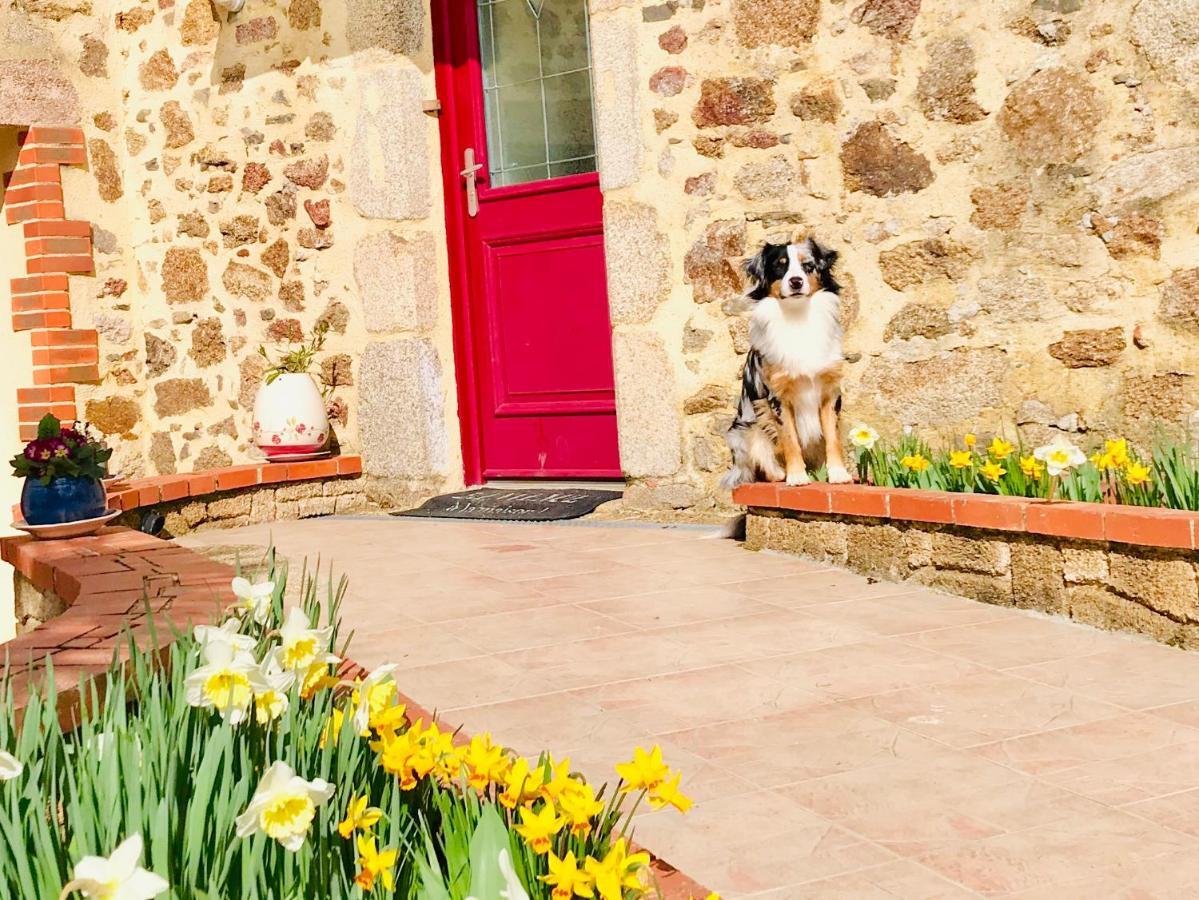 La Basse Monniere Bed & Breakfast Sevremont Eksteriør bilde